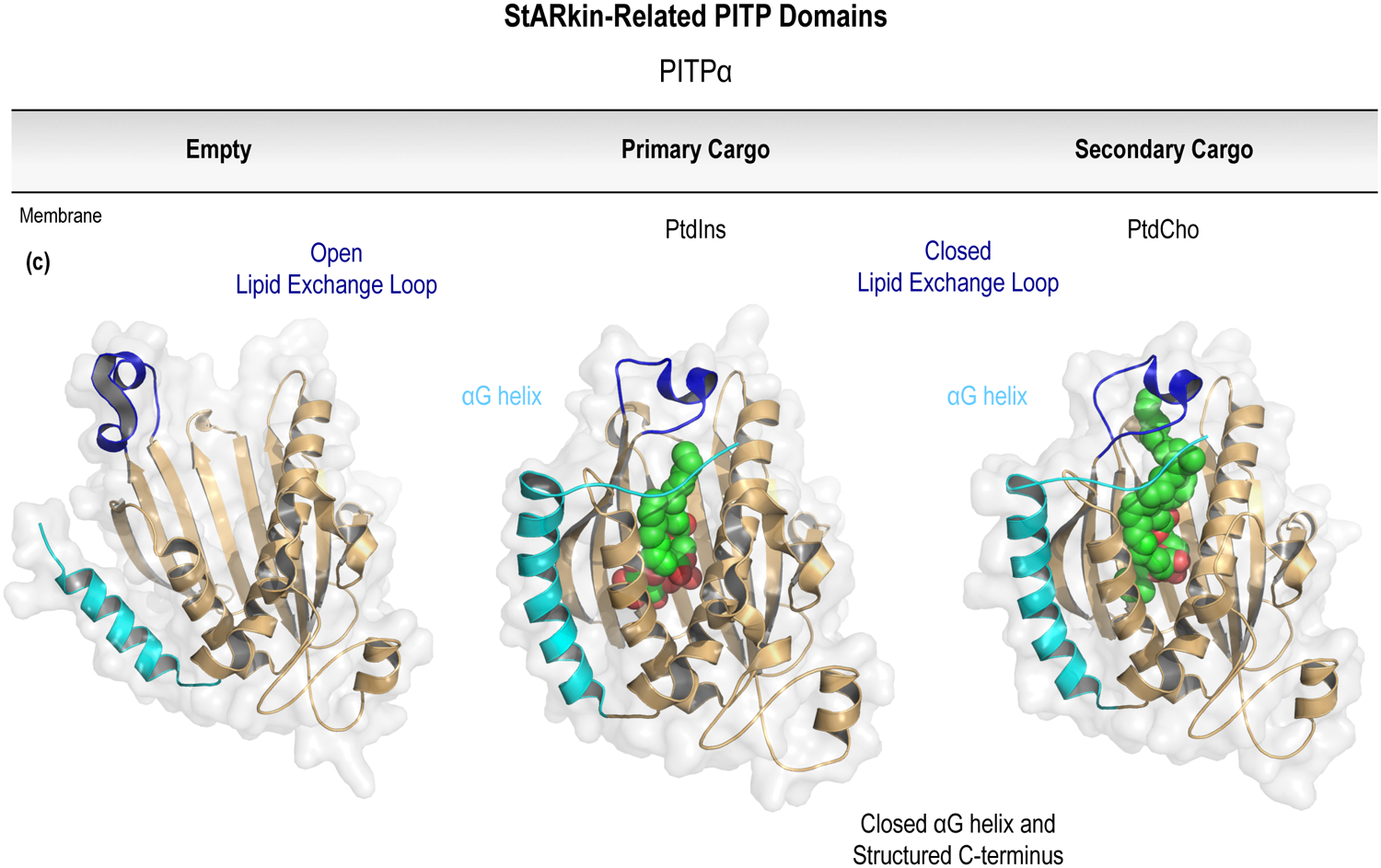 Figure 5.