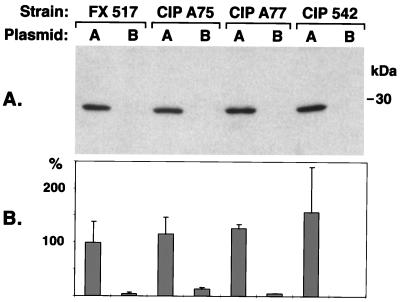 FIG. 7