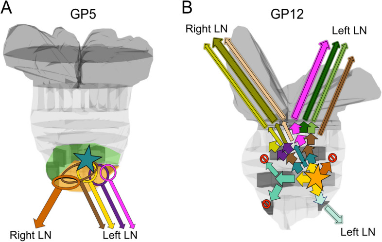Fig. 6