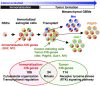 Fig. P1.