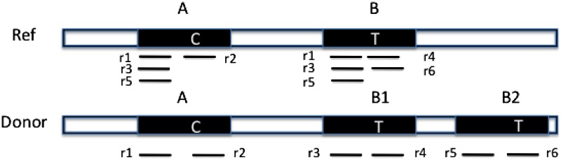 FIG. 1.