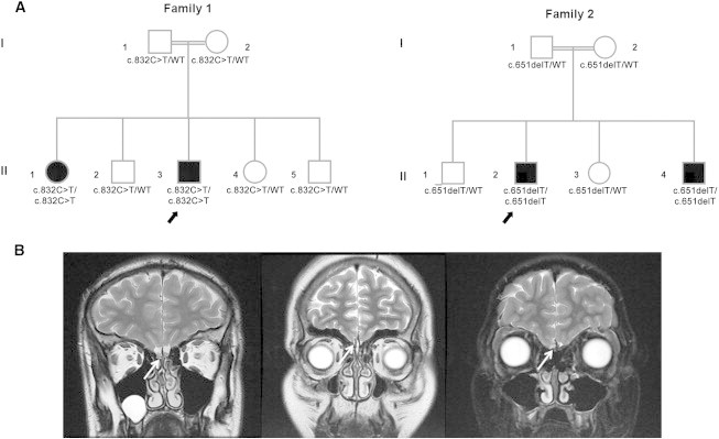 Figure 1