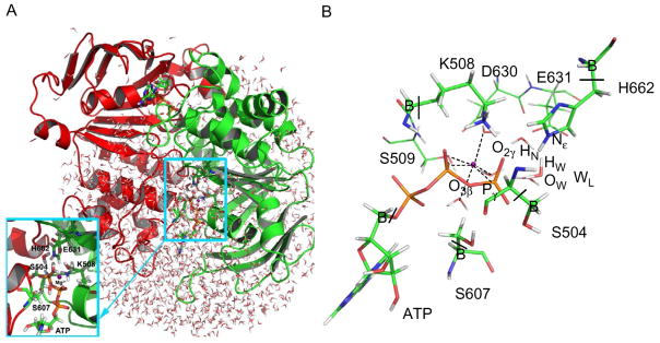 Fig. 3