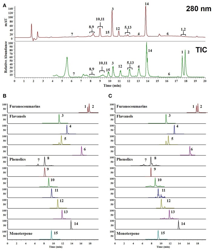 Figure 5