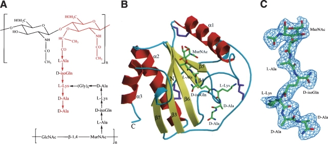 Figure 1.