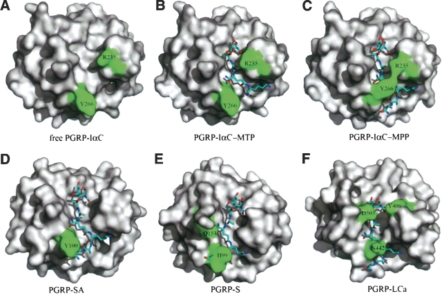 Figure 4.