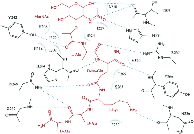 Figure 3.