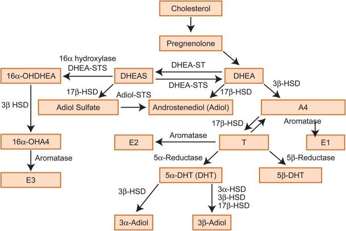 Figure 1