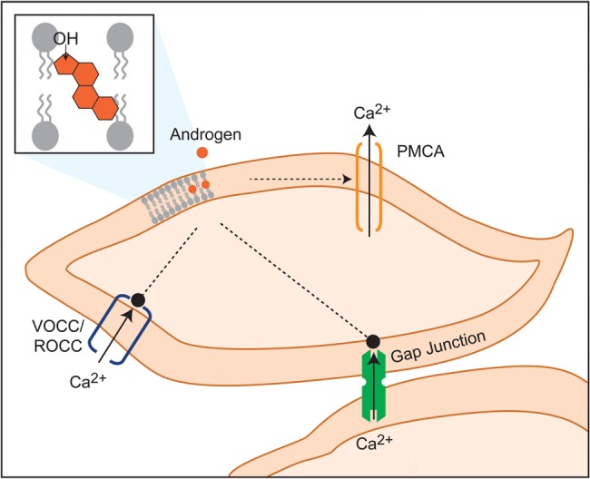 Figure 4