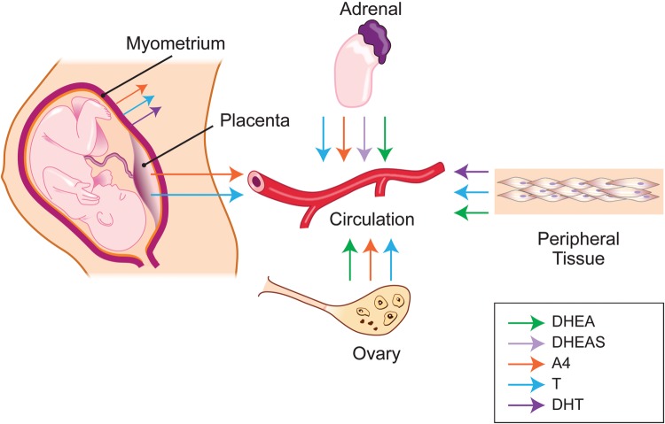 Figure 3