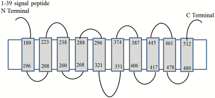 Fig. 4.