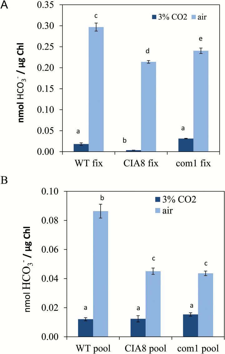 Fig. 8.