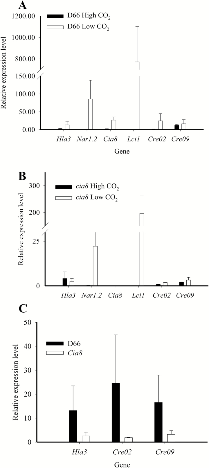 Fig. 6.