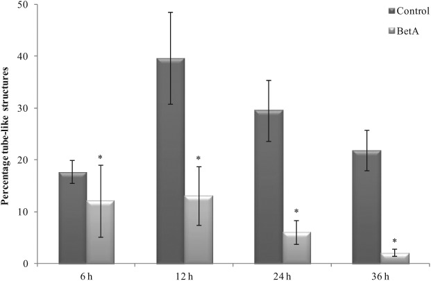 Figure 6.