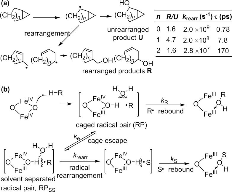 Fig. 11