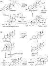 Fig. 15