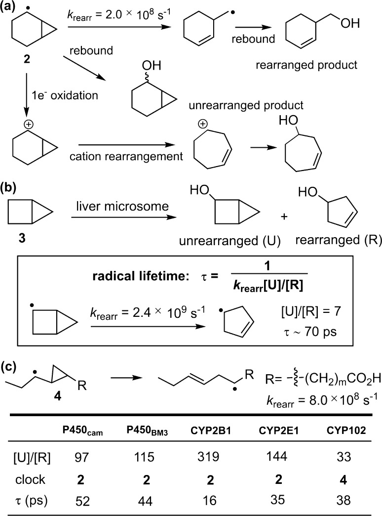 Fig. 9