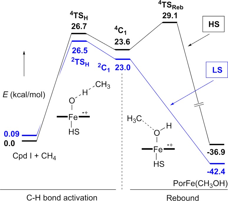 Fig. 10