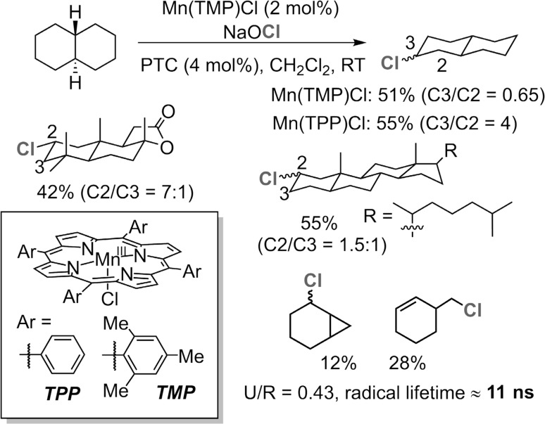 Fig. 22