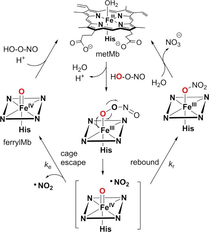 Fig. 12