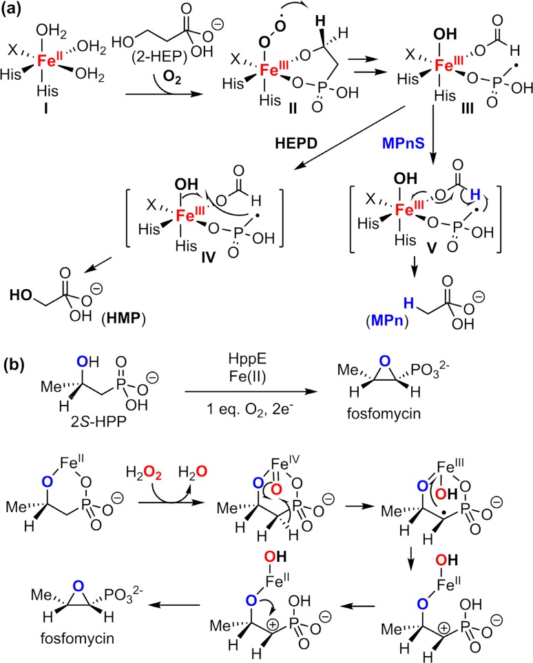 Fig. 19