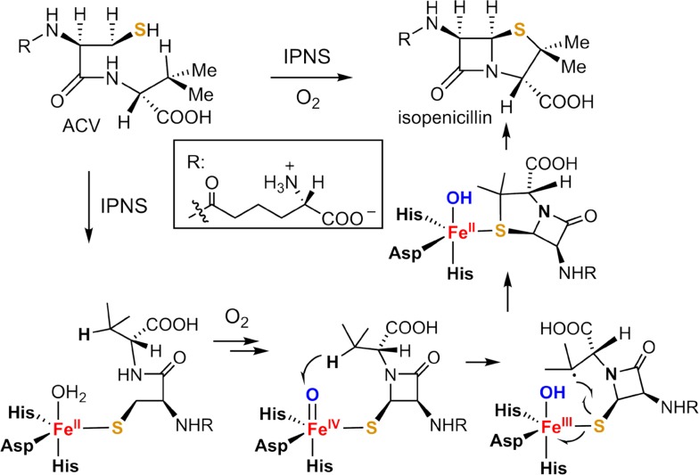 Fig. 16