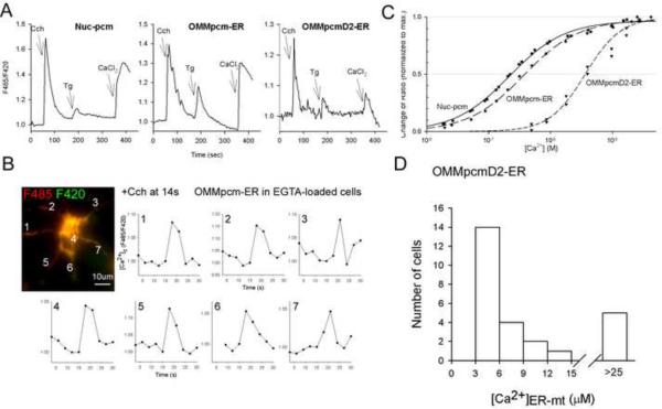 Fig 6