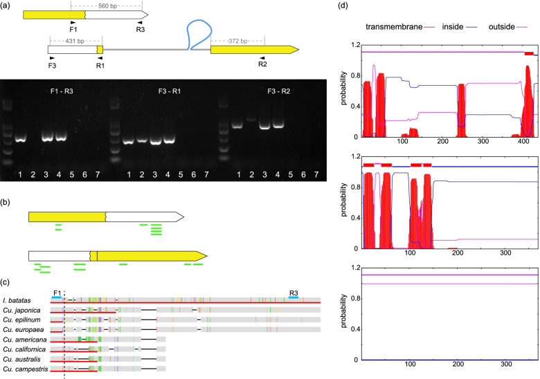 Fig. 7