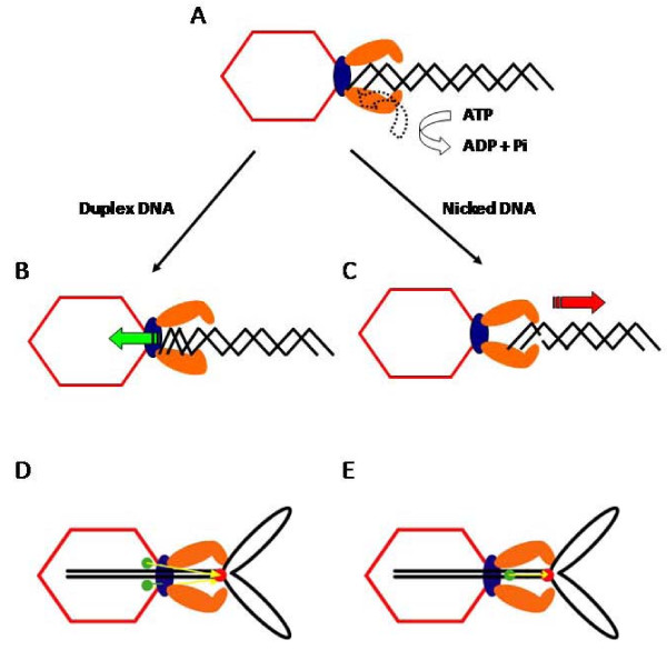 Figure 9