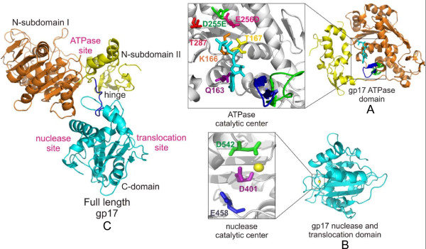 Figure 6