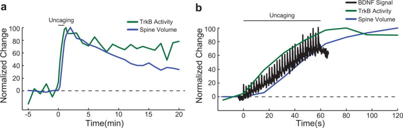 Extended Data Figure 4