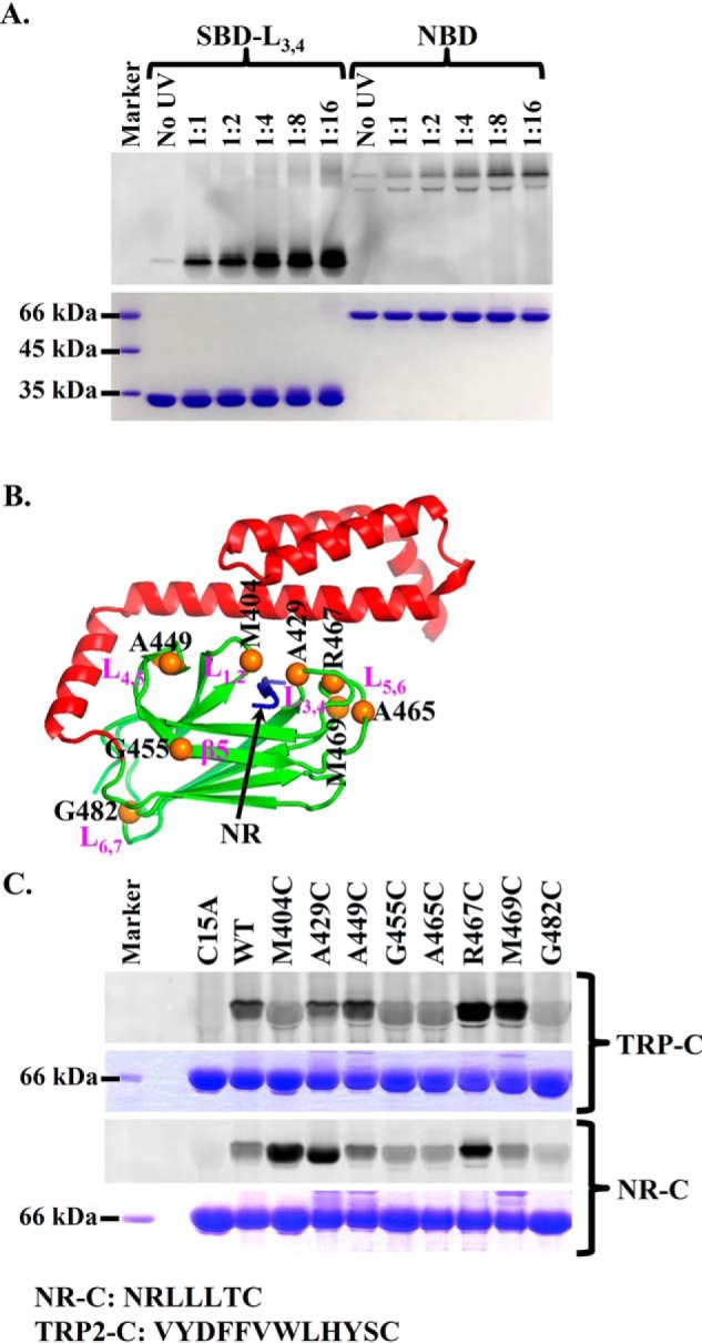 Figure 6.