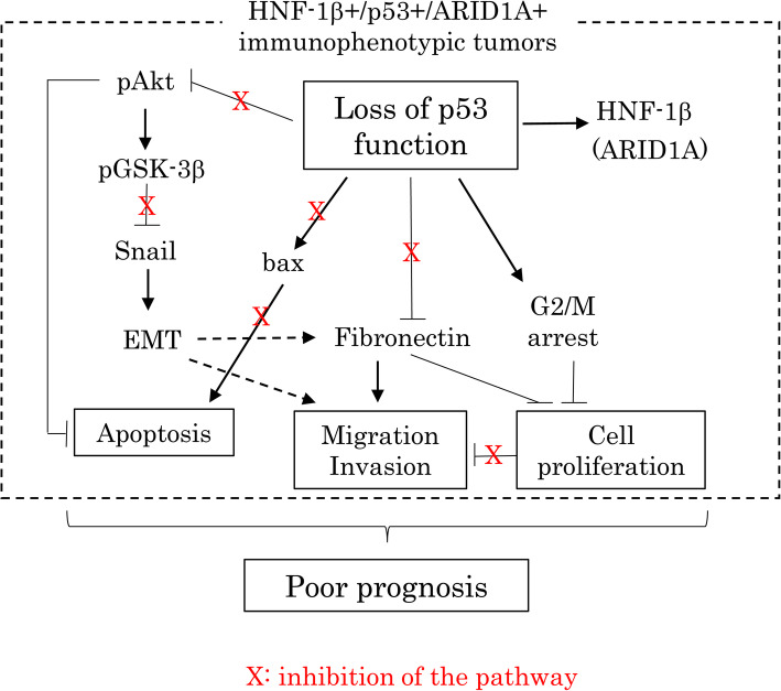 Fig. 9