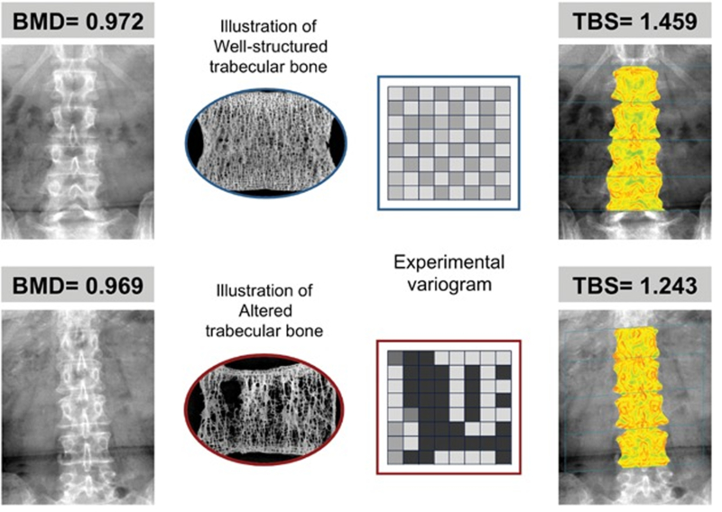 Figure 1: