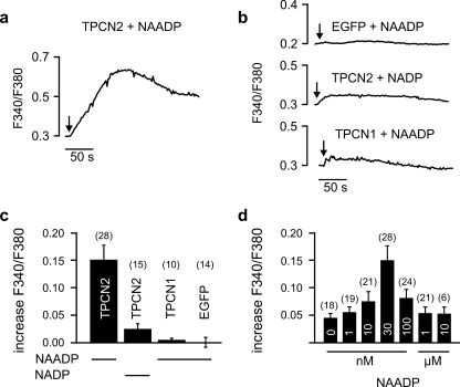 Fig. 3