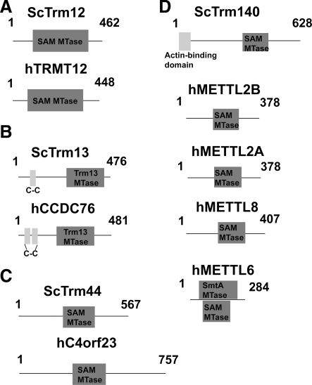 FIG. 7.