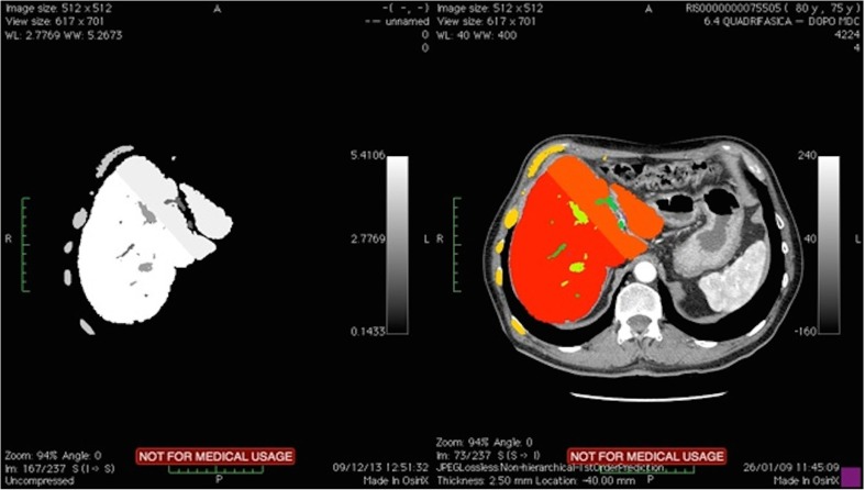 Fig. 4