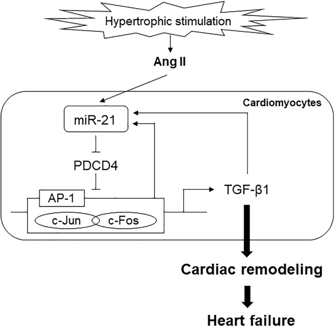 Fig 7