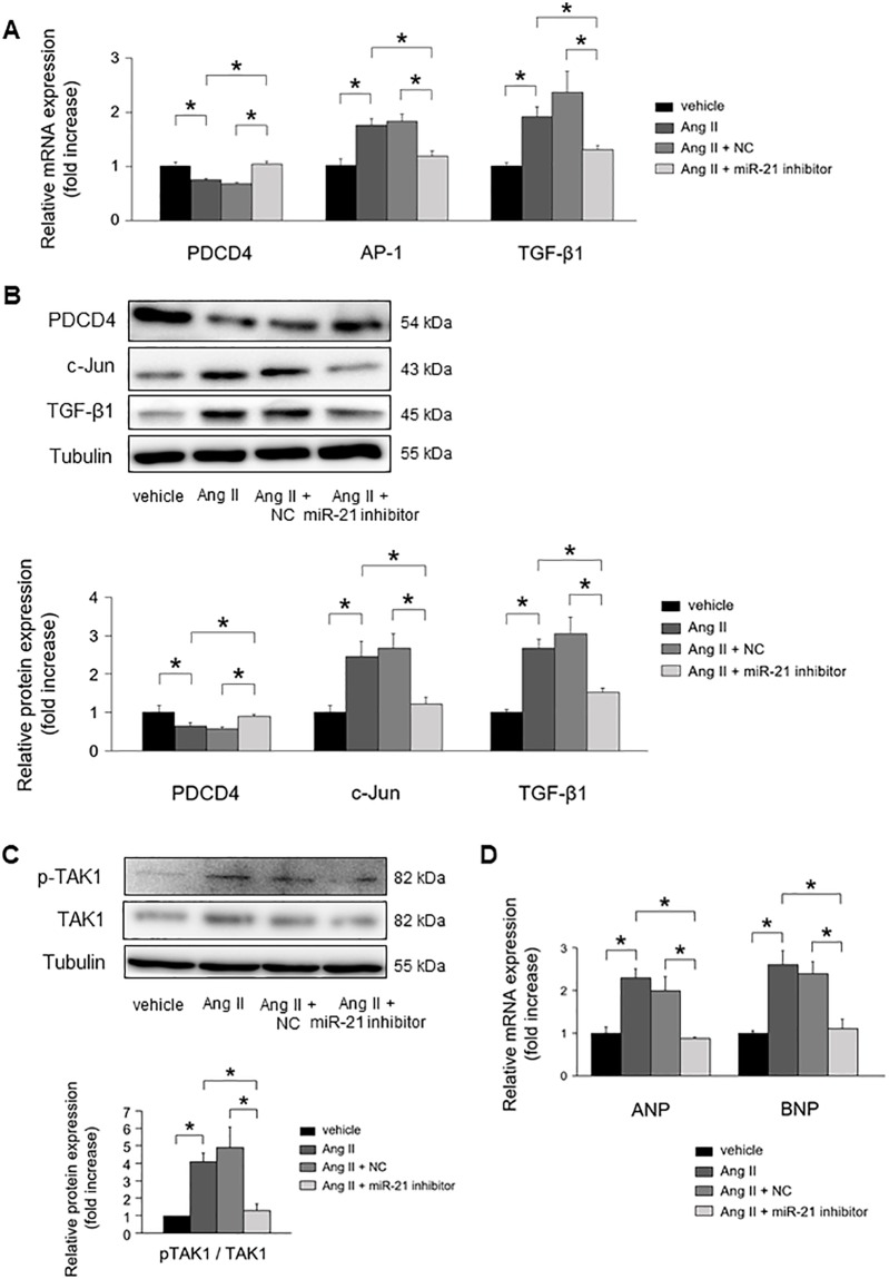 Fig 6