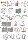 Extended Data Fig. 3