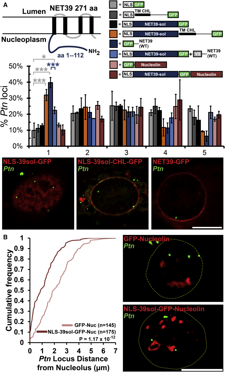 Figure 6