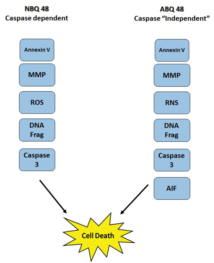 Fig. (8)