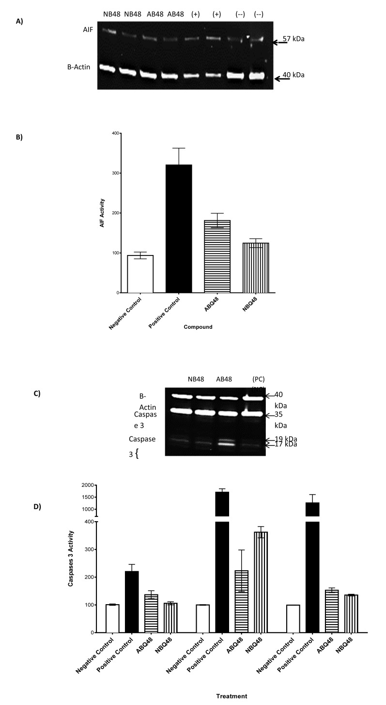 Fig. (6)