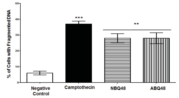 Fig. (5)