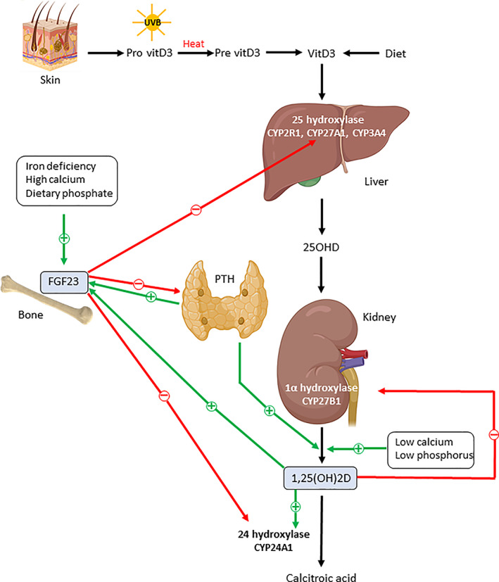 Fig 1