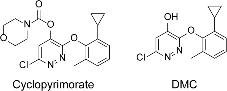 Fig. 2. Structures of cyclopyrimorate and its metabolite, des-morpholinocarbonyl cyclopyrimorate (DMC).