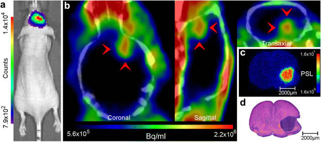 Fig. 3.