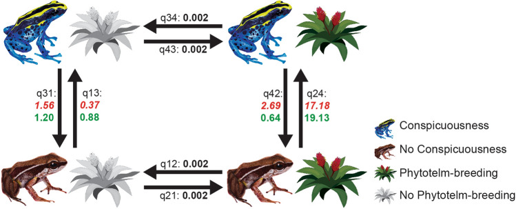 Figure 3﻿