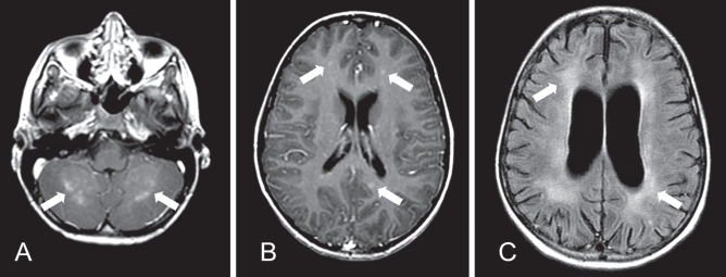 Figure 1)