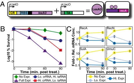 Fig. 4.